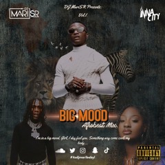 BIG MOOD - VOL I: Afrobeat Mix 🌍 | Mixed by DJ MariSR @itsdjmaribaby