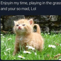backup playlist