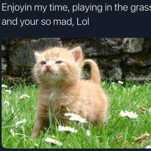 backup playlist