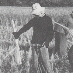 El camino dificil es el camino