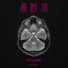 Amygdala