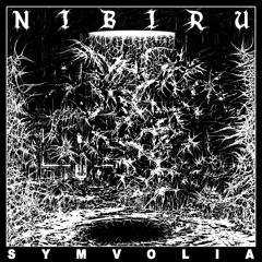 Lost In Ether | P R E M I E R E | Symvolia - Syntropy [Capital Corpse]