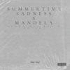 Download Video: Summertime Sadness x Mandela (Nickï Dray Edit)