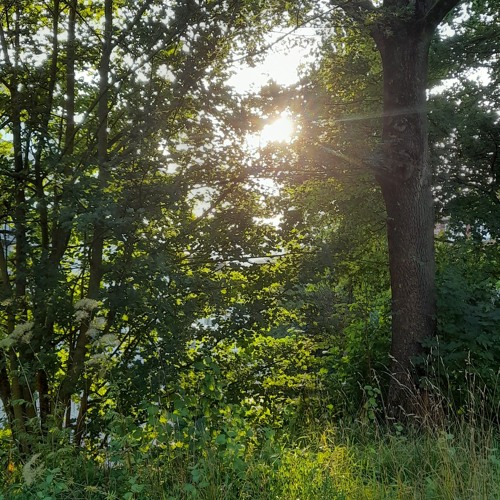 Matt Cardle When We Collide (lovely Piano)