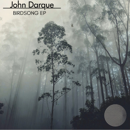 John Darque - On Form [Anodynic Frequencies]