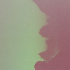 EXP 010