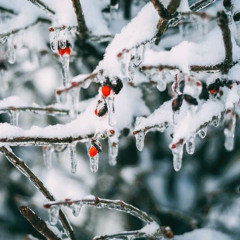 Icicles - Featuring Ana Ros