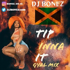 DJ Bonez - Tip Inna It (Gyal Mix)