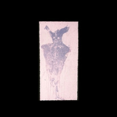 Fucking is the Only Constant in This World (Up the Gary Glitter Mix) [feat. Mischling]