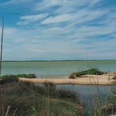 Mix a l'etang de l'Or a Lunel