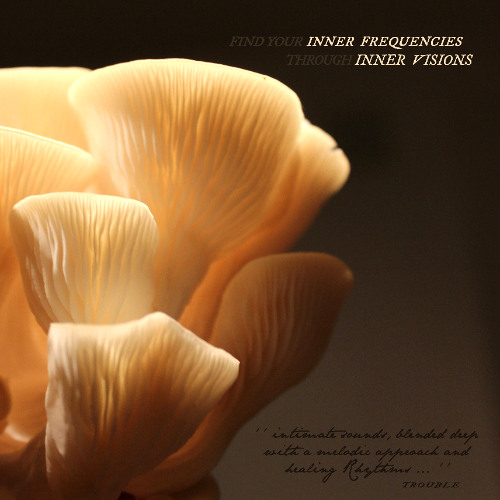 Find your Inner Frequencies, Through Inner Visions | #001