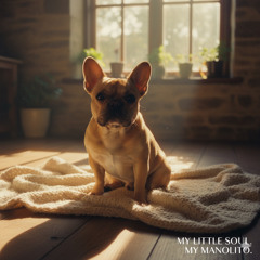 🎵-my-little-soul.-my-manolito..mp3