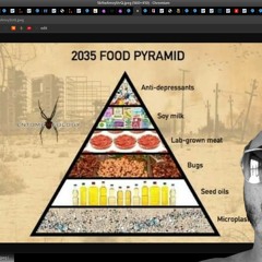 Famine, The Right to Breathe, Corrupt Federal Judges - Episode 134