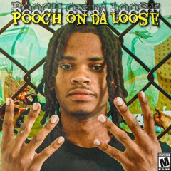 4pooch - T.W.I.Y p. sincere