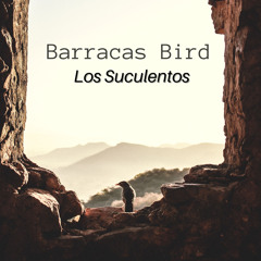 Barracas Bird