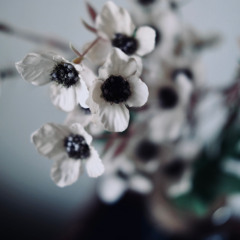 Drowsiness / feat.符色