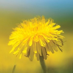 Ruth B. - Dandelions (Instrumental Remake)