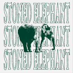 Stoned Elephant