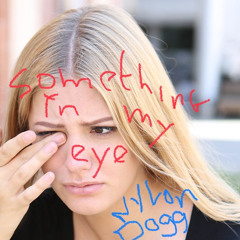 Something In My Eye — 5.26.24 [NYLON DOGG]