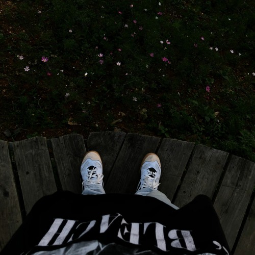 NGƯỜI HOÀNG GỐC MAI - HPT