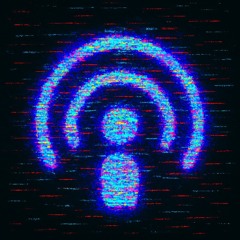 Magnetic Echo