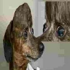 Круг Мухомор Reversed