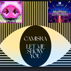 Camisra_Pohl_Artenviefalt - Let Me Show You The Rave Phenomenon (Woodsymix)