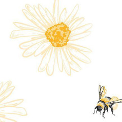 Sunflower. Dedrik X Keldo X Putulu.