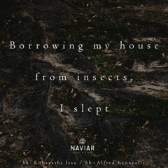 Borrowing my house from insects [naviarhaiku374]