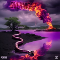 VT Finesse - Overnight