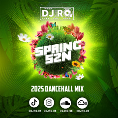 DJ RO - SPRING SZN (2025 DANCEHALL MIX)