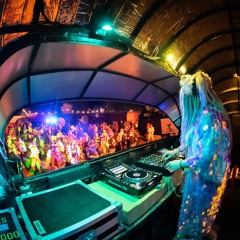 Daisy Don't Care - Maui Waui 2024 Outer Limits