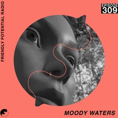 Ep 309 pt.1 w/ Moody Waters