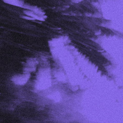 Cooler than a bitch (prod. highsoulja)