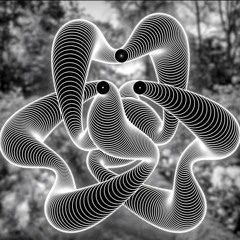 Black Hole