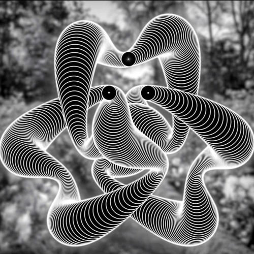 Black Hole