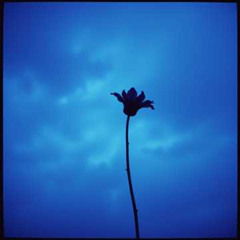 Forget me, forget! #1