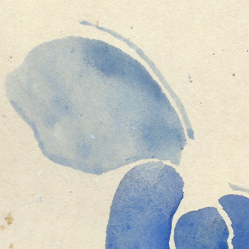 Llum recollida amb les mans(naviarhaiku620)