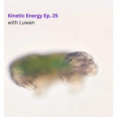 [8 ball radio] Kinetic Energy - Ep. 25 - Tardigrades
