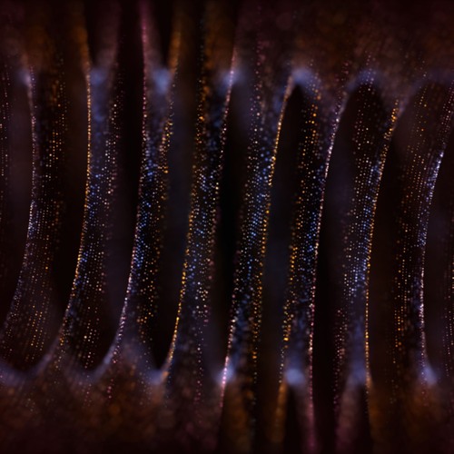 Fractal Collapse (Original Mix)