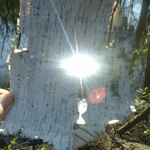 Field Recordings by Jeff Gburek