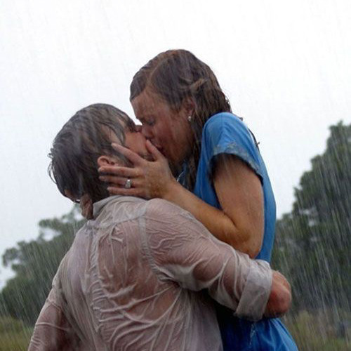 Bird [the notebook 2004]
