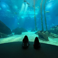 2024-12-31 andreramos revelhao24\25 part1wav