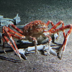 the time that i waste