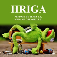 [HRIGA] - Pendant ce temps là, Madame Grenouille ...