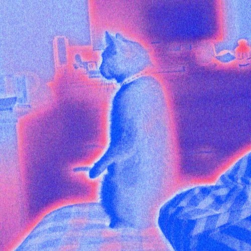 notlieu- Forwards