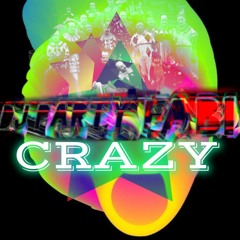 DJ PARTY FABI - CRAZY RMX (Pitbul & Lil Jon)