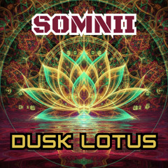 Dusk Lotus