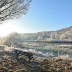 cold winter
