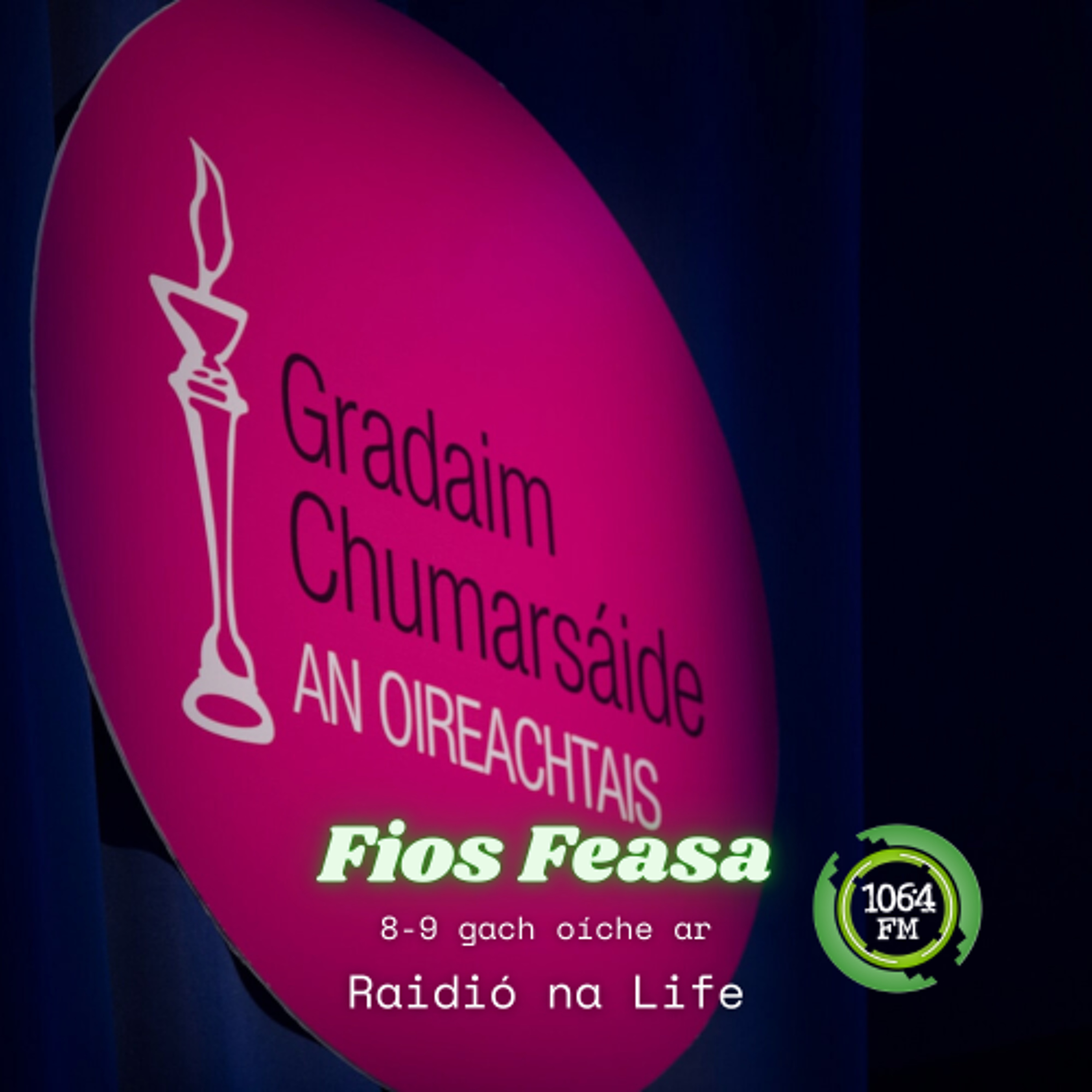 Gradaim Chumarsáide an Oireachtais: Máire Ní Chonláin, Eagarthóir Coimisiúnaithe TG4 episode artwork